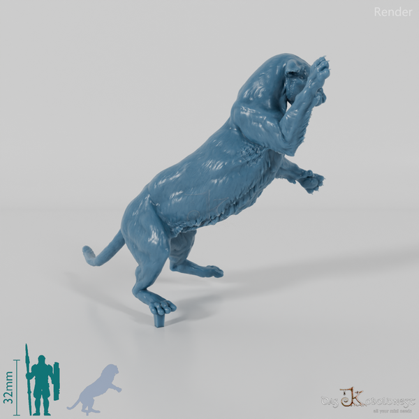 Big Cat - Leopard 02