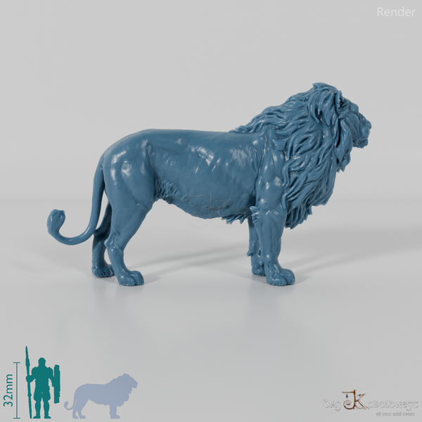 Raubkatze - Löwe 02