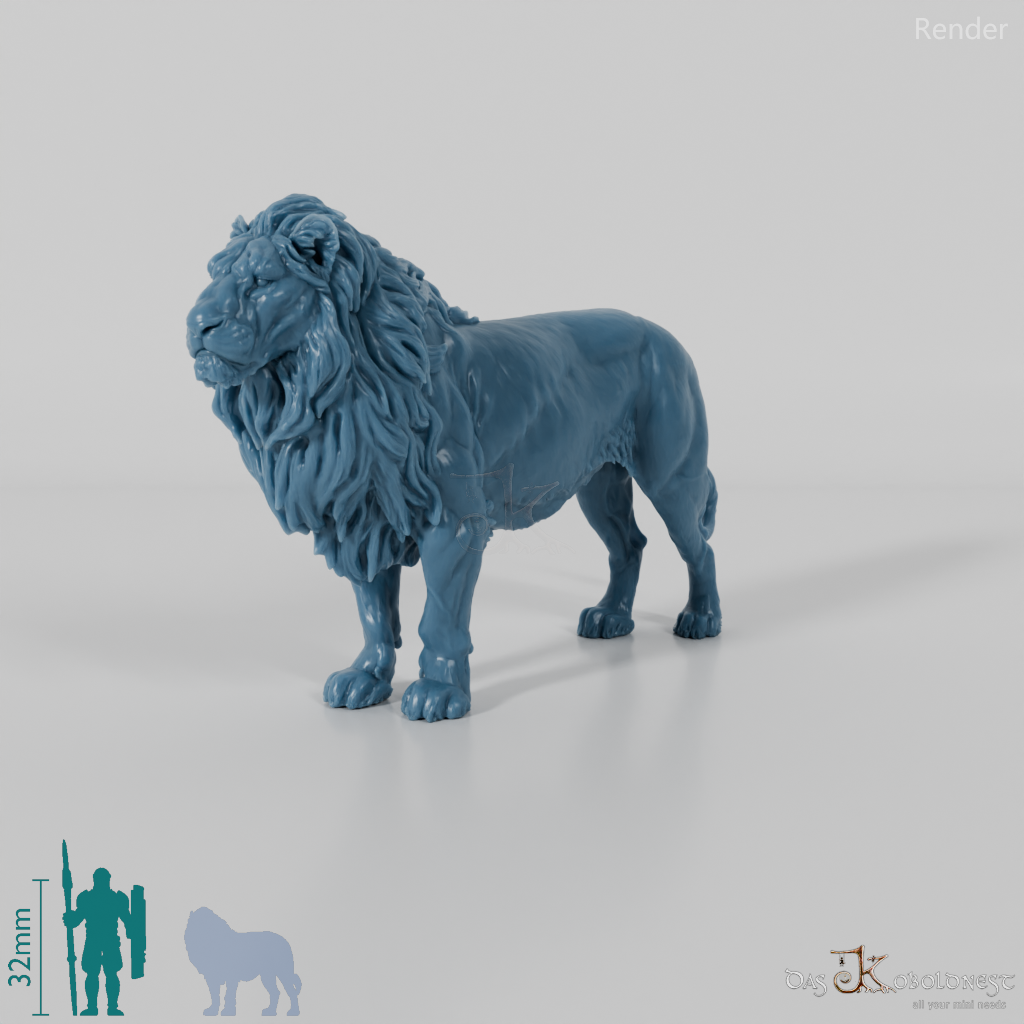 Big Cat - Lion 02