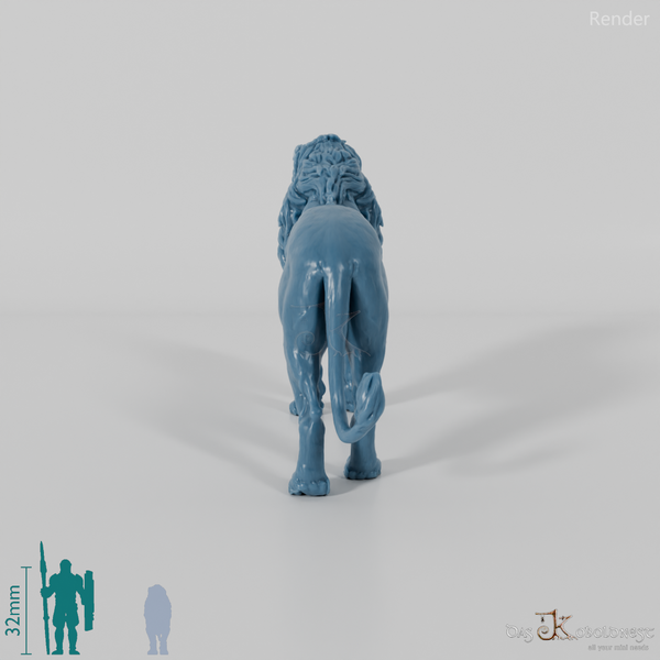 Raubkatze - Löwe 02