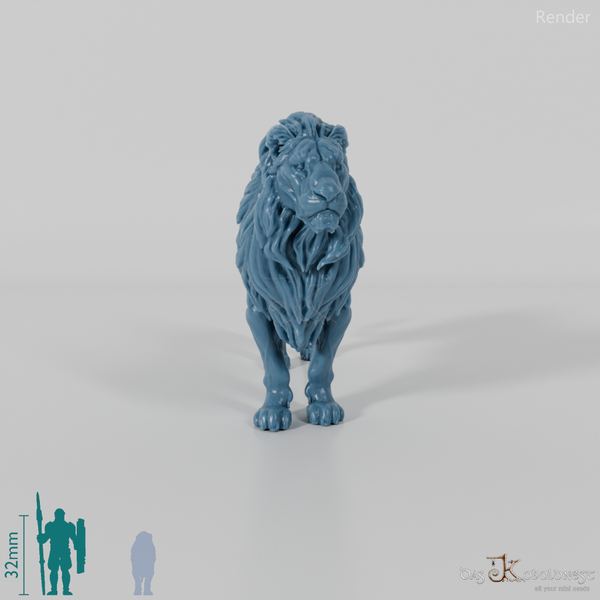 Raubkatze - Löwe 02