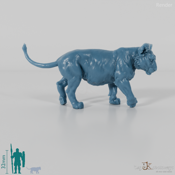 Big cat - lion cub 01