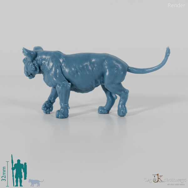 Big cat - lion cub 01