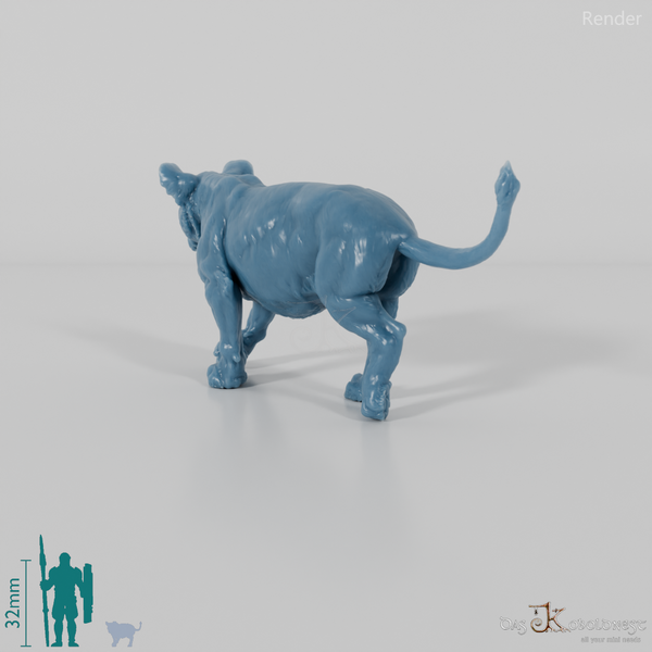 Big cat - lion cub 01