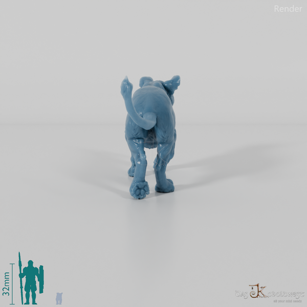 Big cat - lion cub 01