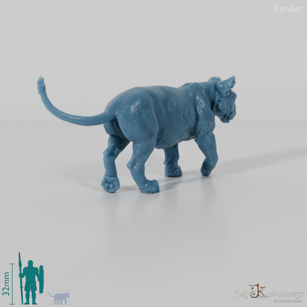 Big cat - lion cub 01