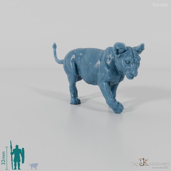 Big cat - lion cub 01