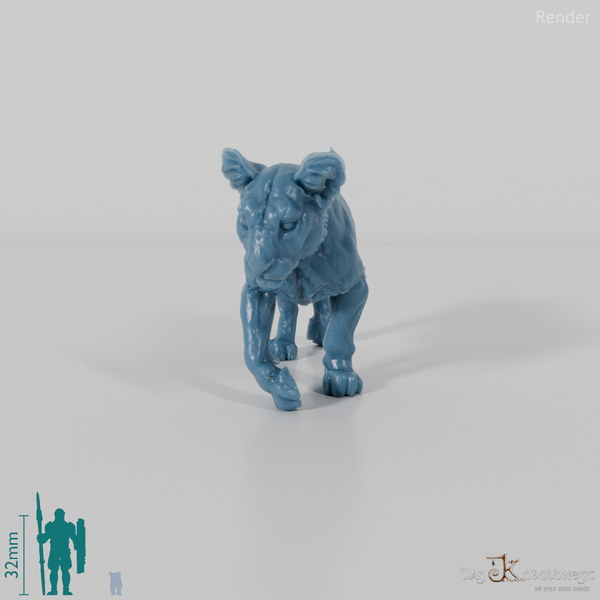 Big cat - lion cub 01