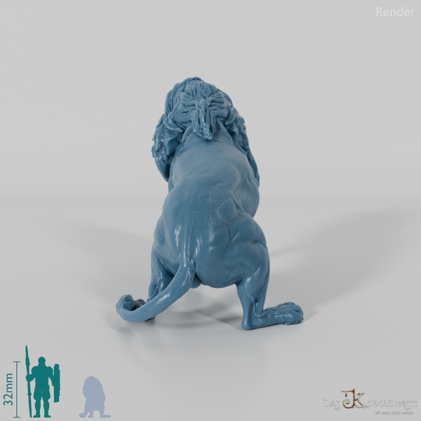 Raubkatze - Löwe 03