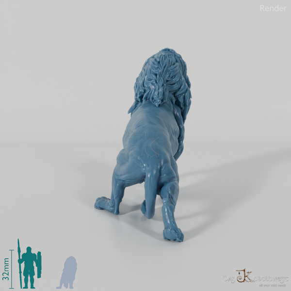 Big Cat - Lion 04