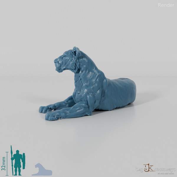 Big cat - lioness 02