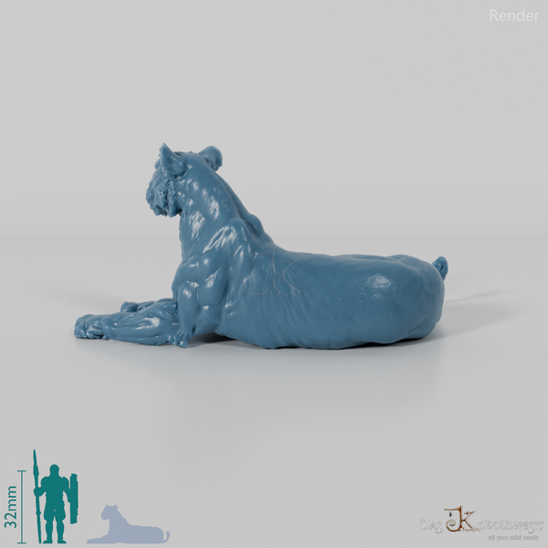 Big cat - lioness 02