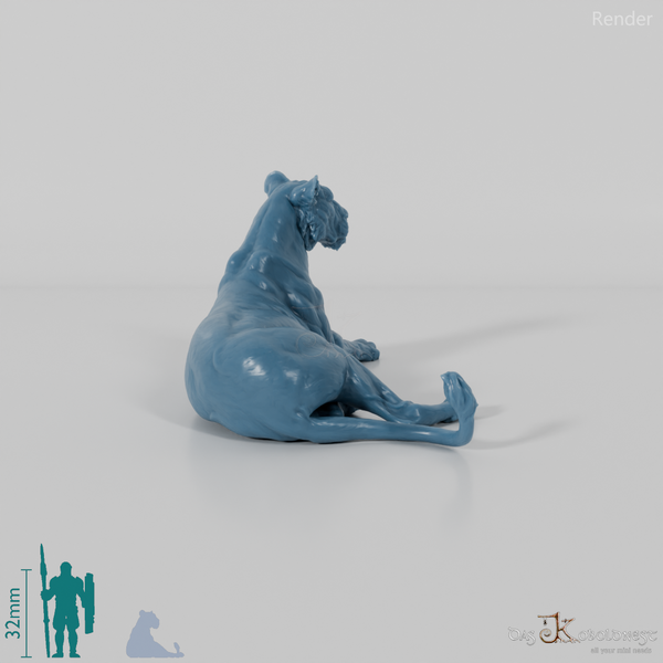 Big cat - lioness 02