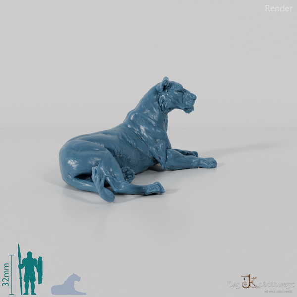 Big cat - lioness 02