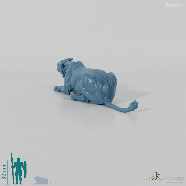 Big cat - lioness 04