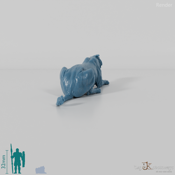 Big cat - lioness 04