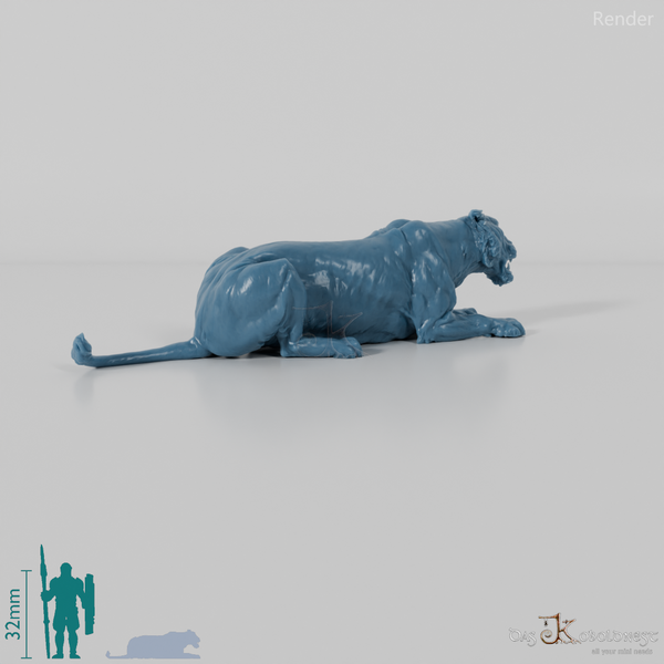 Big cat - lioness 04