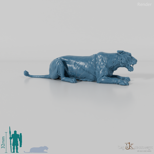 Big cat - lioness 04