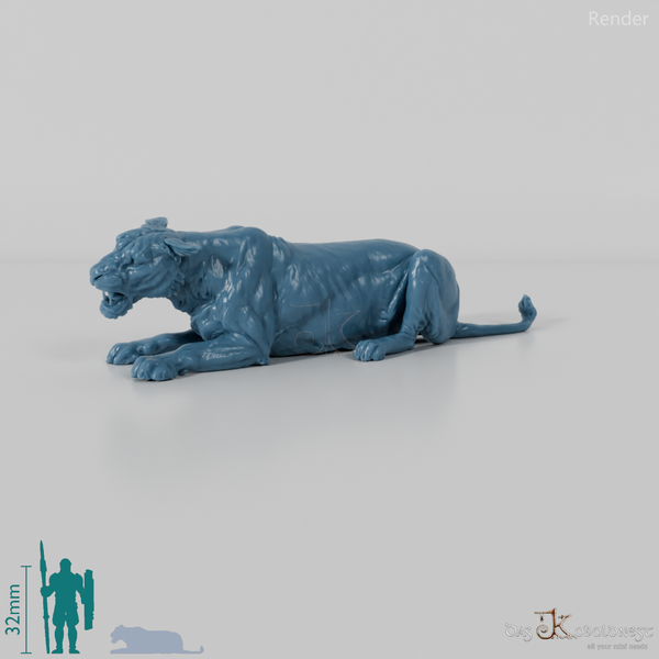 Big cat - lioness 04