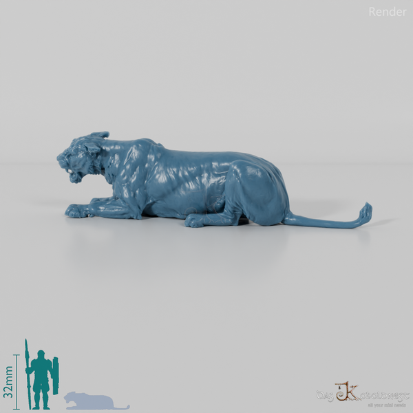 Big cat - lioness 04