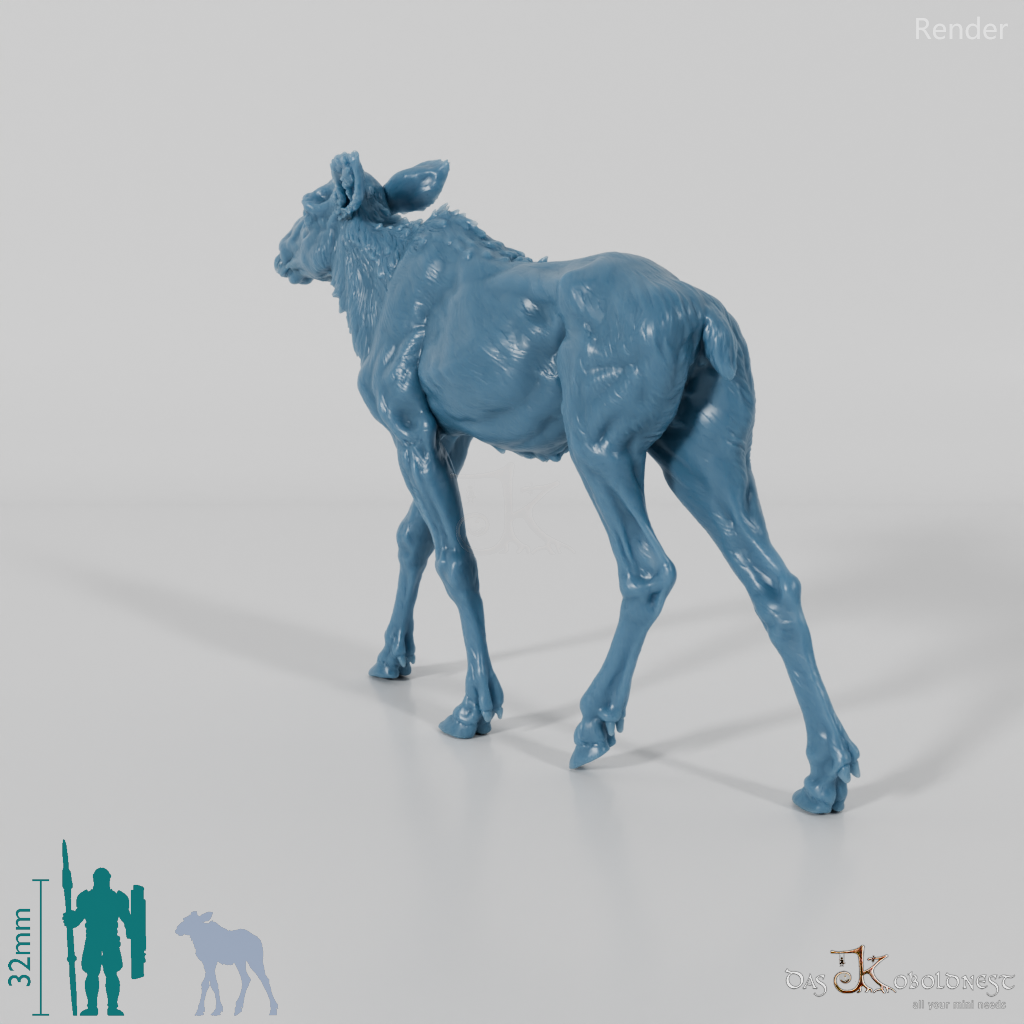 Deer - Elk - Calf 01