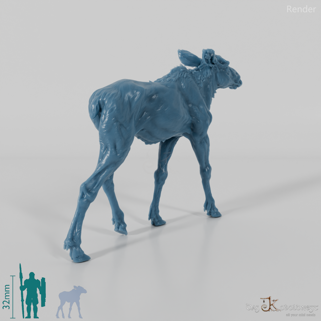 Deer - Elk - Calf 01