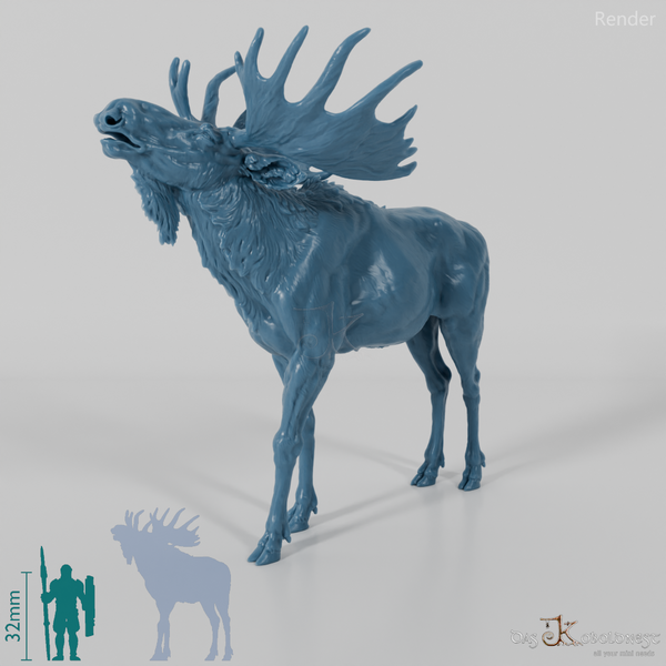 Hirsch - Elch - Bulle 05