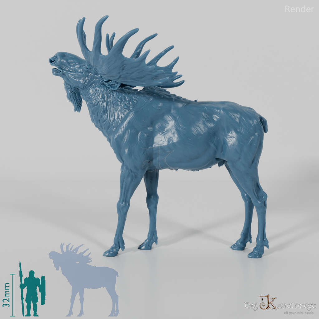 Deer - Elk - Bull 05