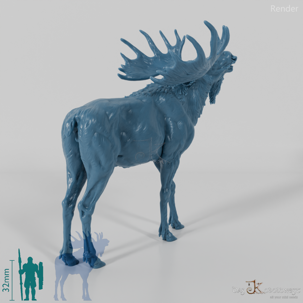 Deer - Elk - Bull 05