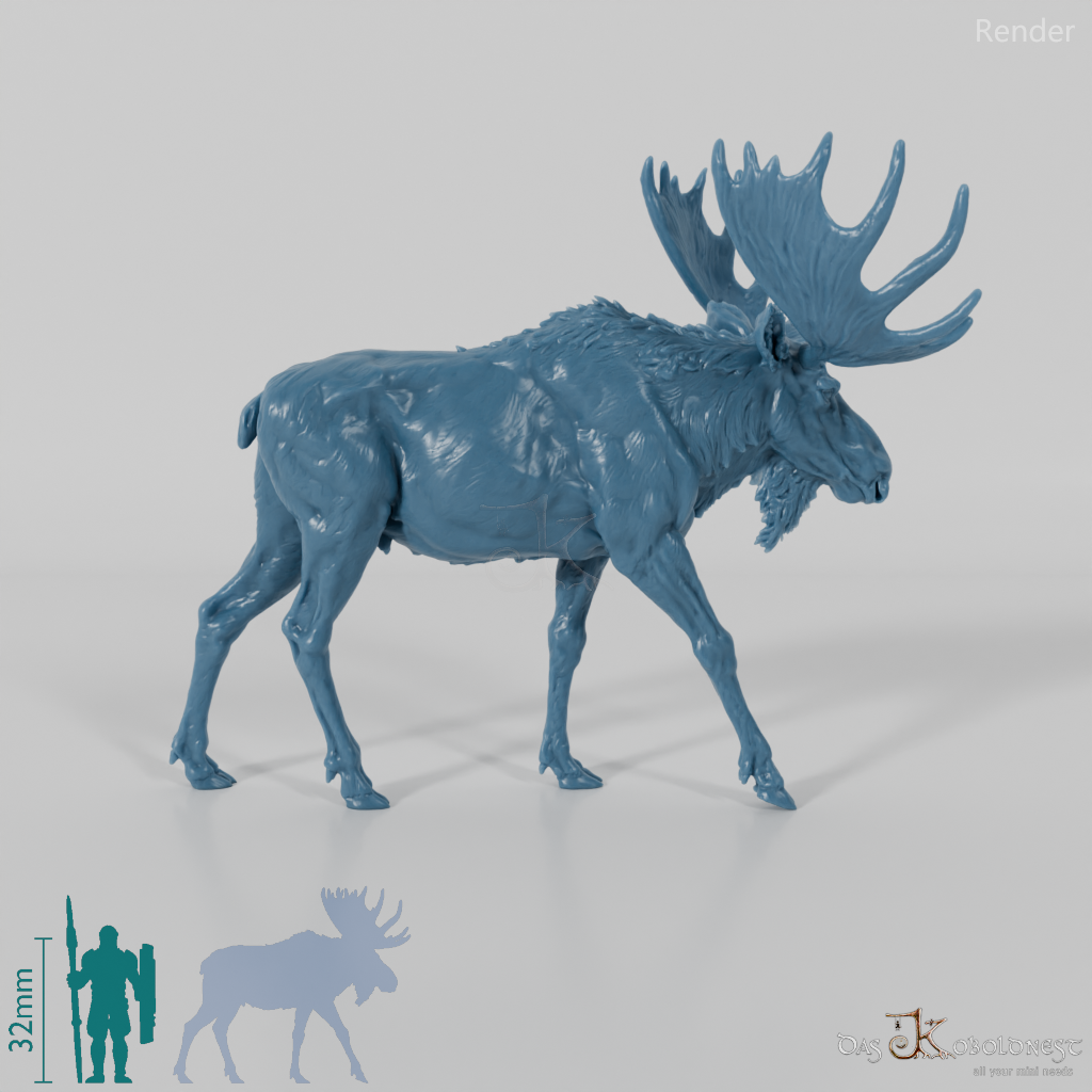 Deer - Elk - Bull 01