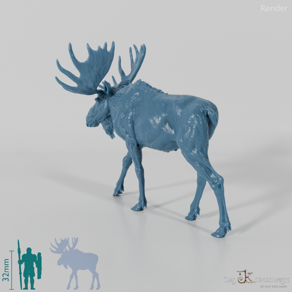 Deer - Elk - Bull 01