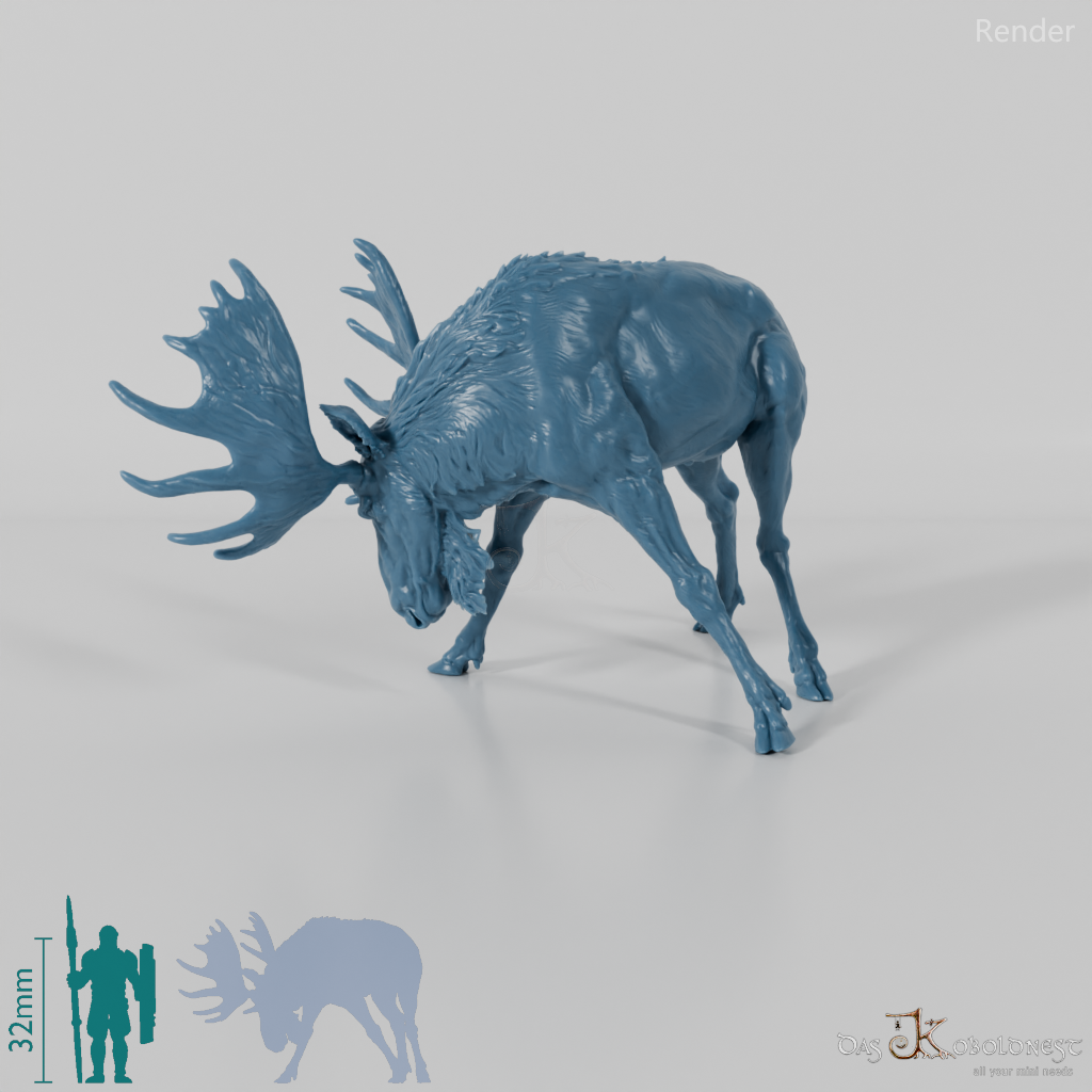 Deer - Elk - Bull 03