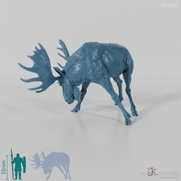 Hirsch - Elch - Bulle 03