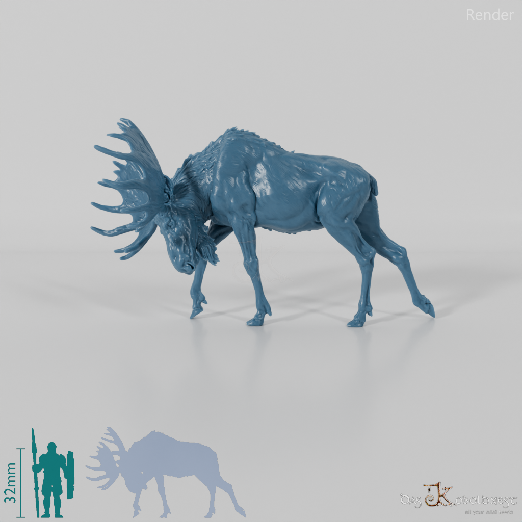 Deer - Elk - Bull 04