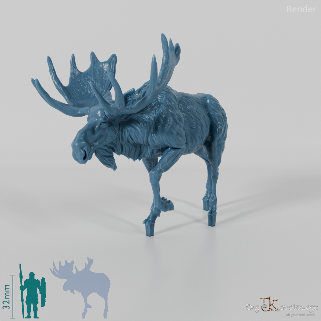 Deer - Elk - Bull 02