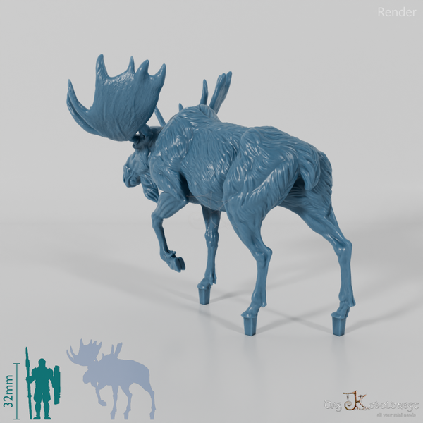 Hirsch - Elch - Bulle 02