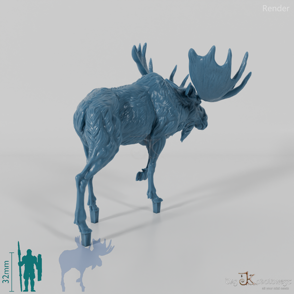 Hirsch - Elch - Bulle 02