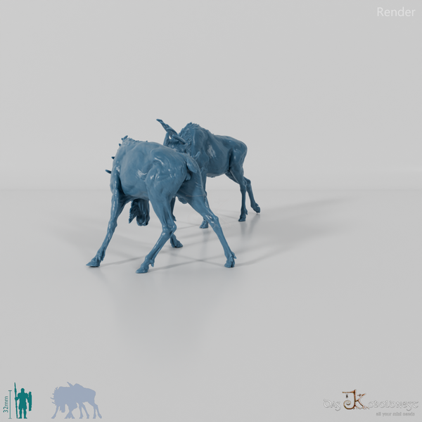 Hirsch - Elch - Kämpfende Bullen