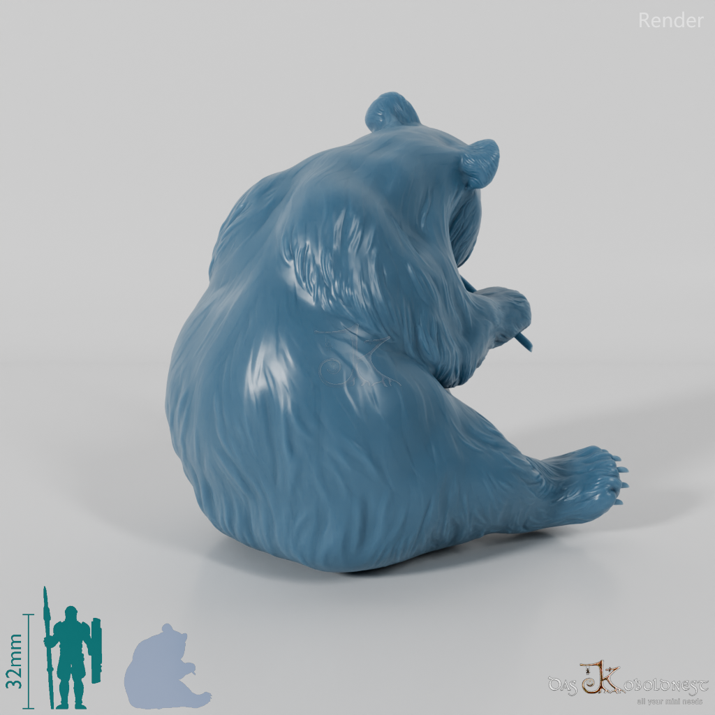 Bear - Giant Panda 02