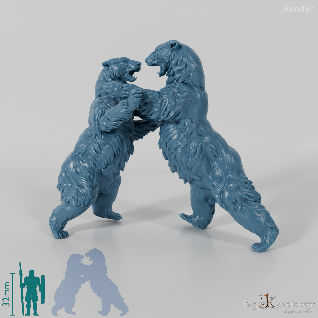 Bear - Polar Bears - Fighting