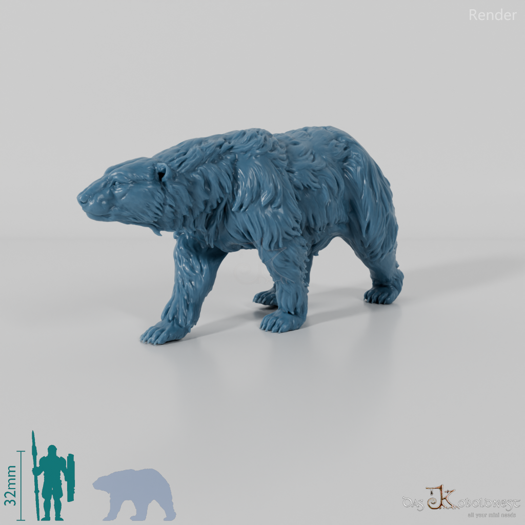 Bear - Polar Bear 02