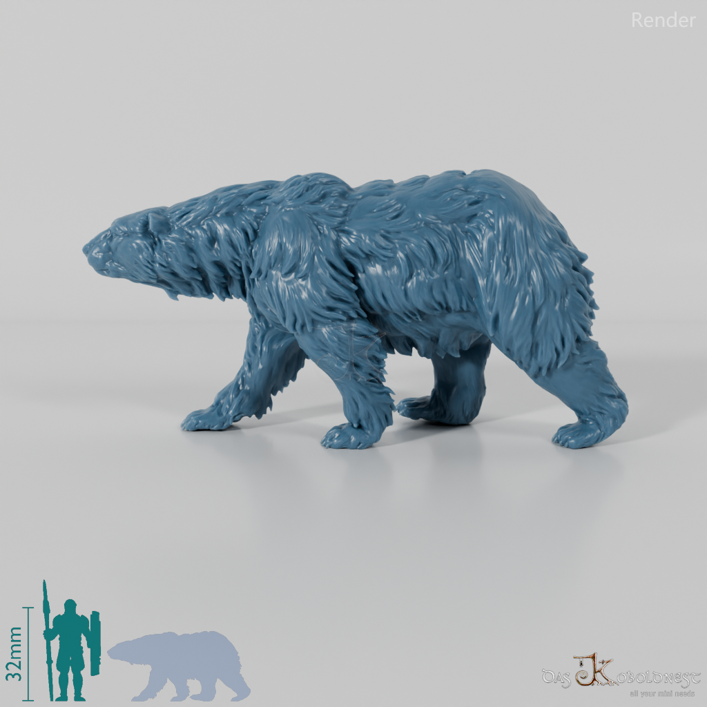Bear - Polar Bear 02