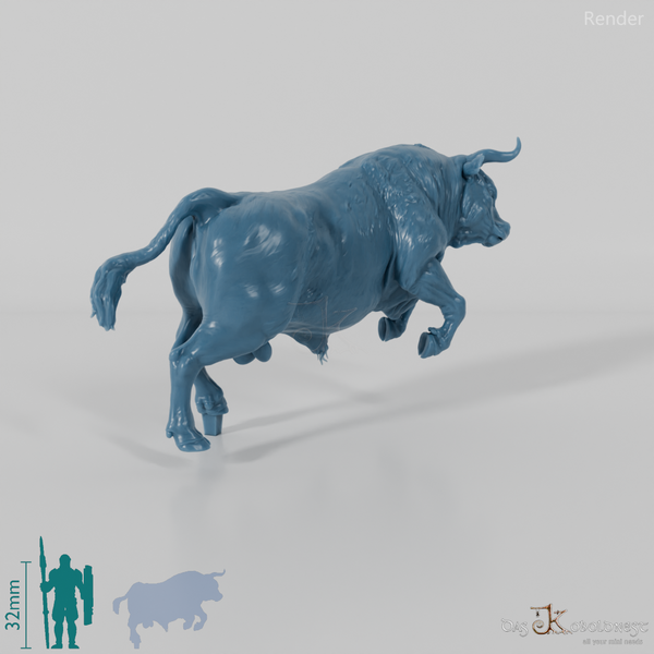 Rind - North Devon Bulle 02