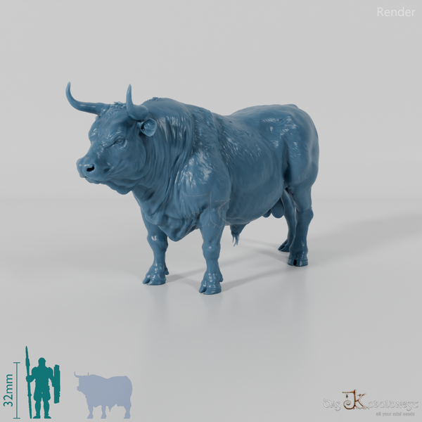 Rind - North Devon Bulle 01