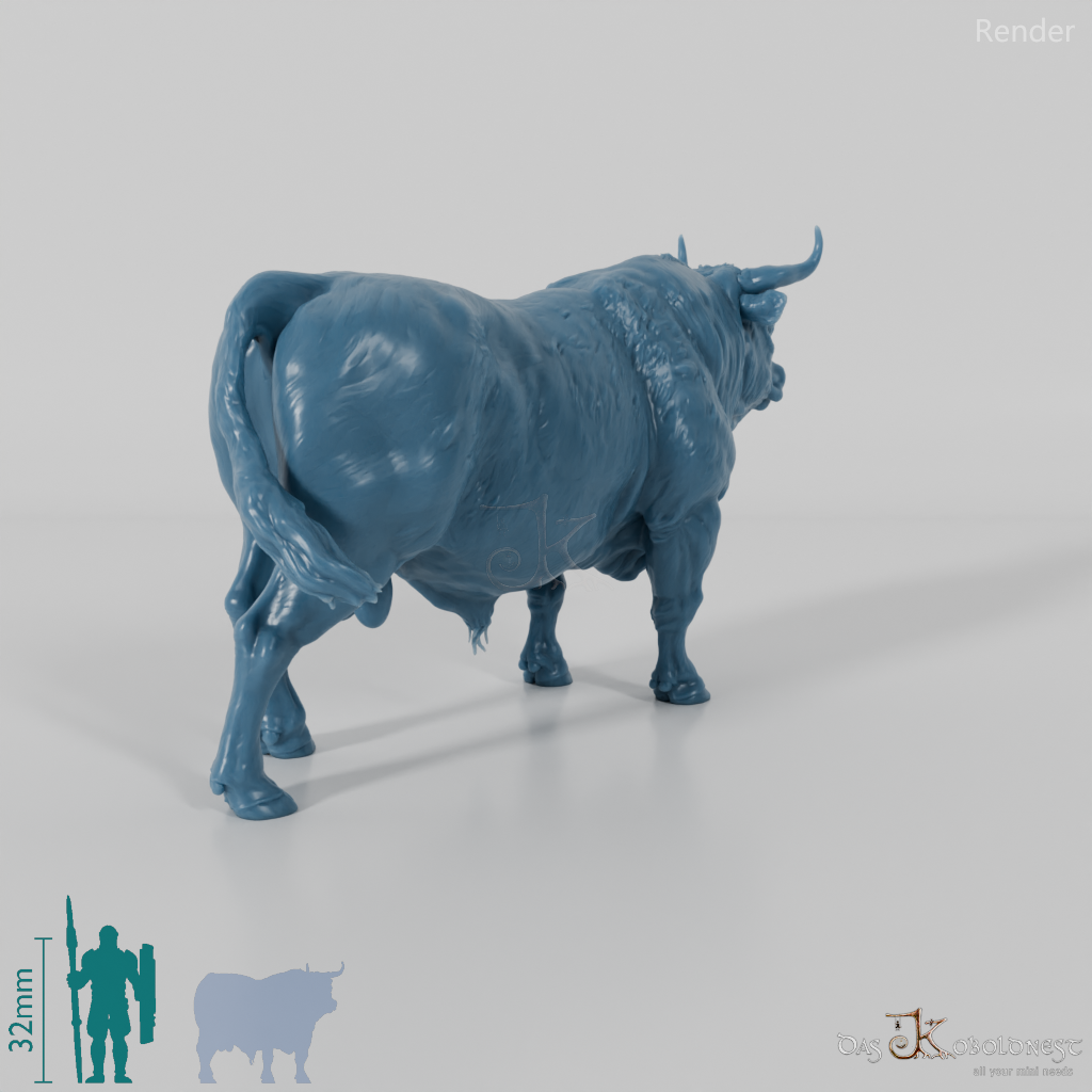 Beef - North Devon Bull 01