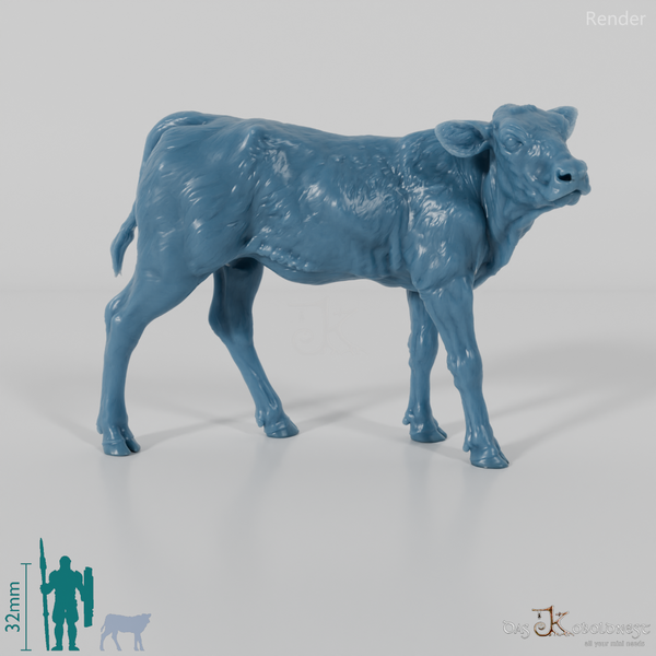 Rind - North Devon Kalb 04