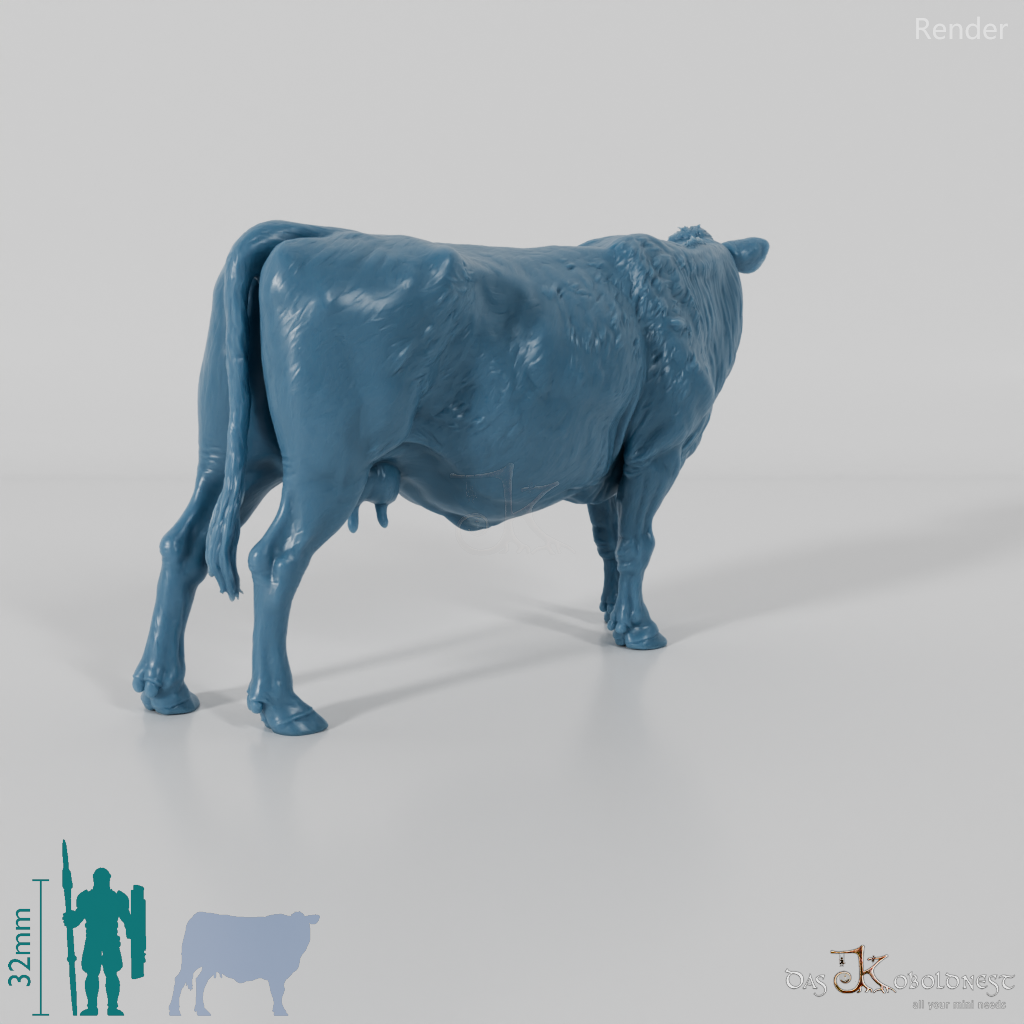 Beef - North Devon Cow 02