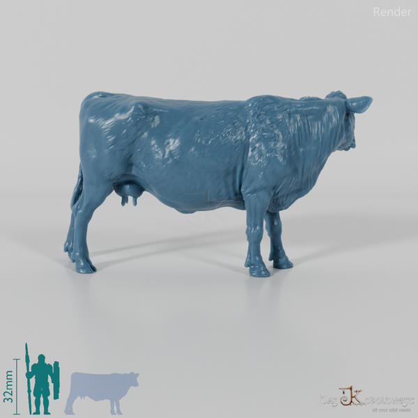 Rind - North Devon Kuh 02