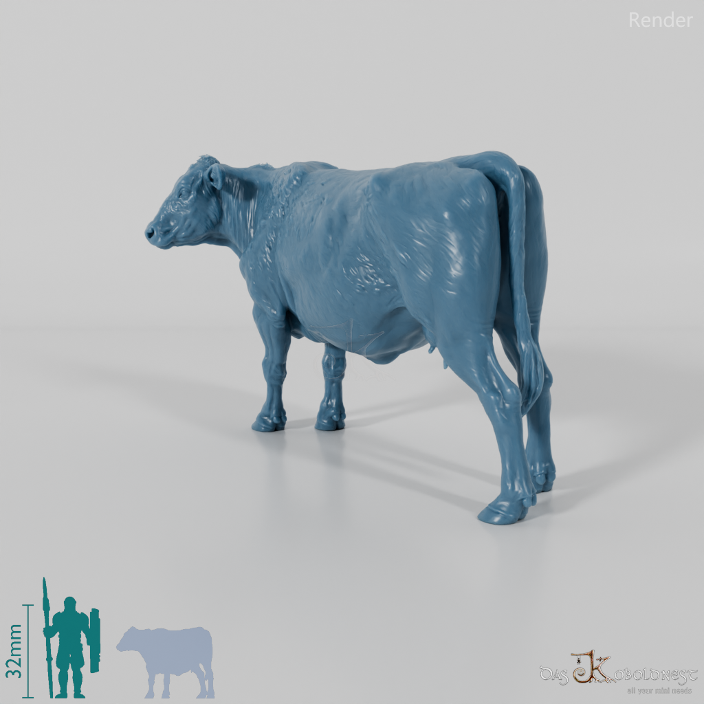 Beef - North Devon Cow 02