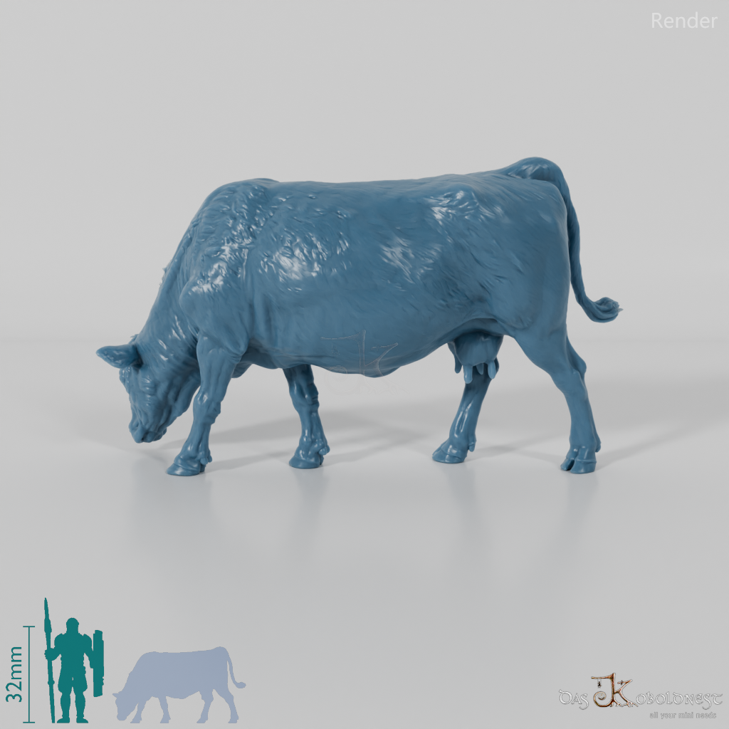 Beef - North Devon Cow 01